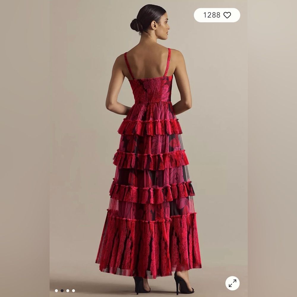 NWT Hutch Freya Sleeveless Tiered Tulle Maxi Dress - Picture 2 of 9